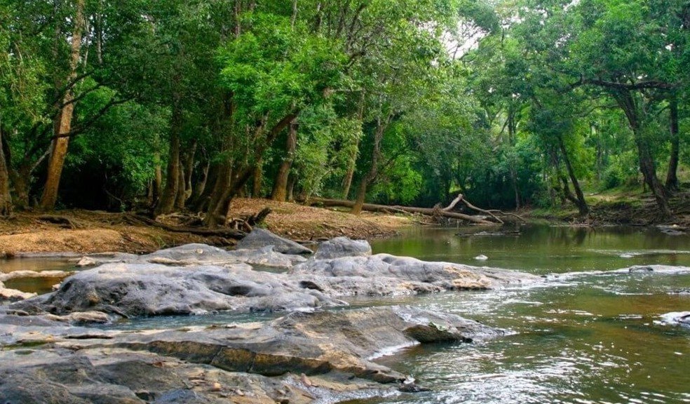 Kuruvadweep, Wayanad, Kerala - Vushii.com